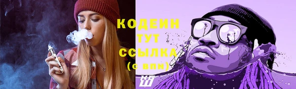 крисы Лабытнанги