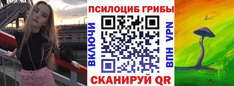 Галлюциногенные грибы Magic Shrooms  Мариинский Посад 