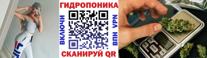 Бошки марихуана план  купить закладку  мориарти как зайти  Мариинский Посад 